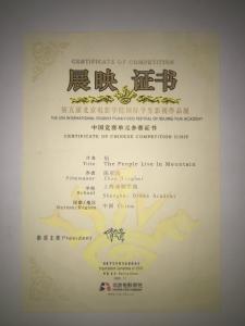导演荣誉