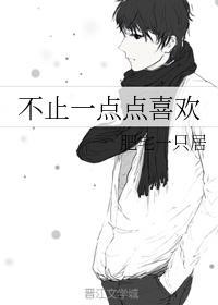 一点点喜欢你小说 300
