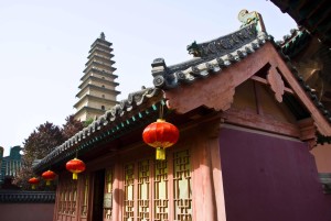 普救寺风光