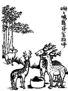 呦呦鹿鸣