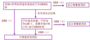 泰普GBS筛检方案