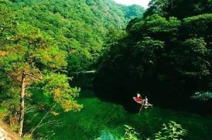 木坑竹海图册