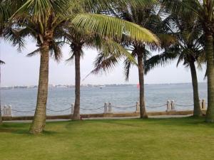 湛江海滨公园