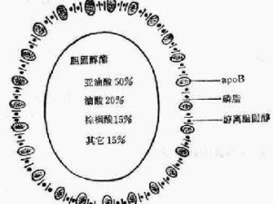 低密度脂蛋白