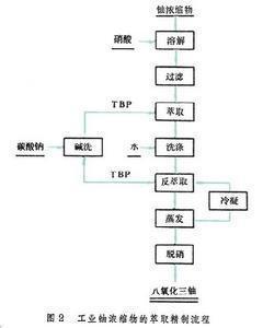 铀的提取和纯化
