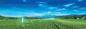 纽崔莱湖景镇农场