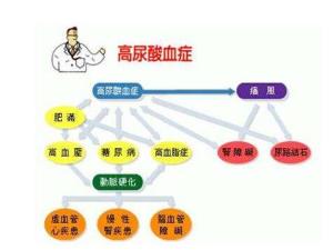尿酸高
