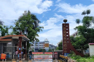 大新县