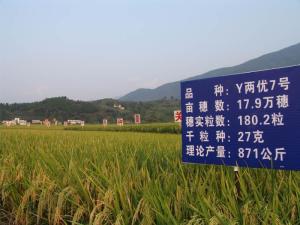 “种三产四”基地