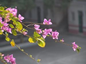 学园掠影