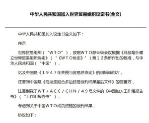 中国怎么进入wto 300
