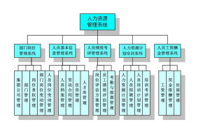 人力资源专业