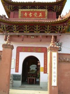 新泰
