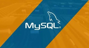 MySQL数据库