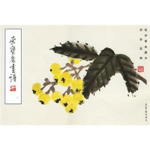 荣宝斋画谱图册