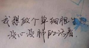 个性签名