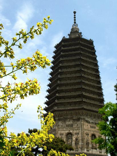 古塔昏鸦古塔昏鸦:今锦州市古塔公园内的大广济寺前的辽塔,旧时夏季