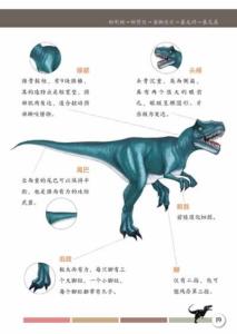 盐海龙