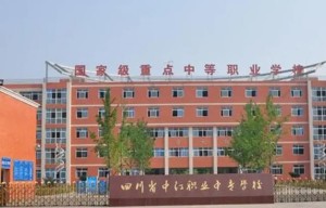 中等职业学校