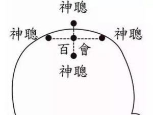 四神聪