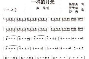 一样的月光