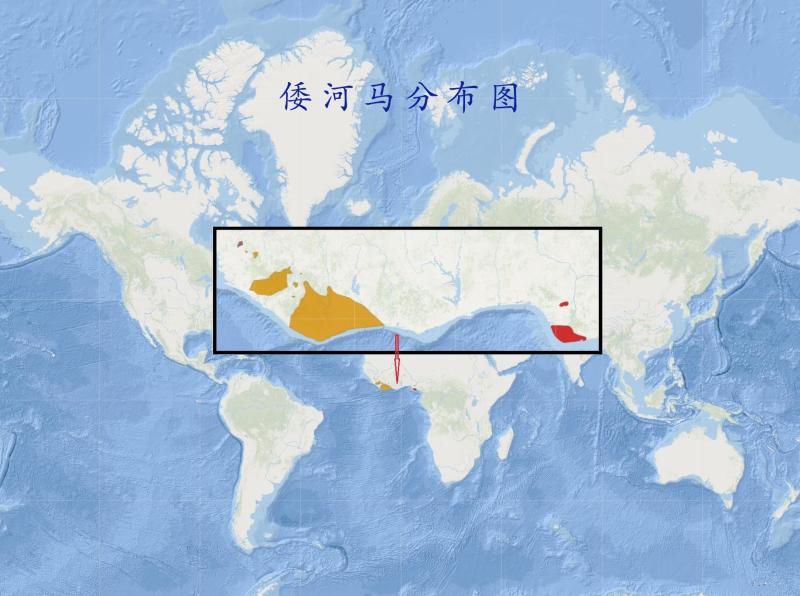 倭河马分布图