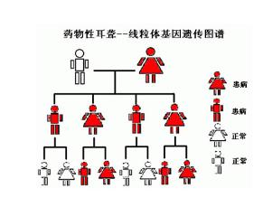 遗传