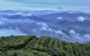 天台县