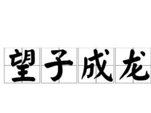 望子成龙