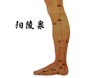 阳陵泉