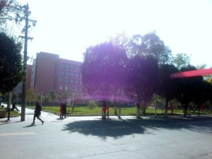 新疆农业大学