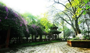 师魂廊
