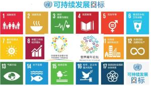 联合国可持续发展目标