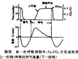 二氧化碳分压