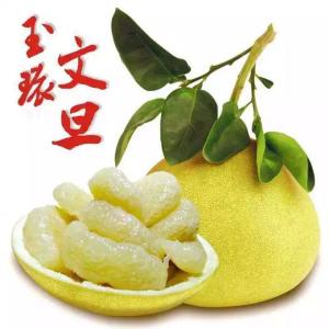 玉环文旦
