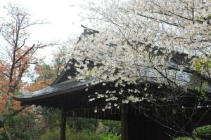上野公园
