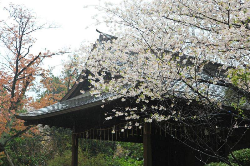上野公园 搜狗百科 上野公园 搜狗百科