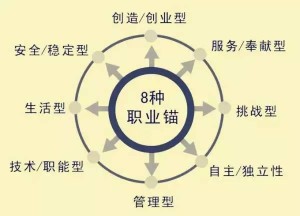 职业锚理论