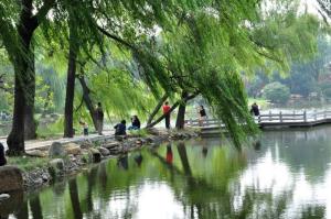 南阳卧龙岗武侯祠风景
