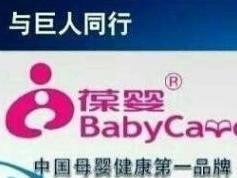 葆婴