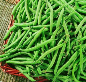 编辑3生长习性5,花皮菜豆4,芸丰3,白花四季豆2,青岛架豆1,碧丰品种3