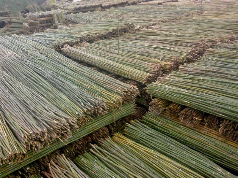 2.3米菜架竹 竹竿 架竿 豆瓜扦 竹架条