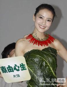 高圆圆 生菜小姐