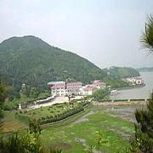 上林湖越窑青瓷遗址图册