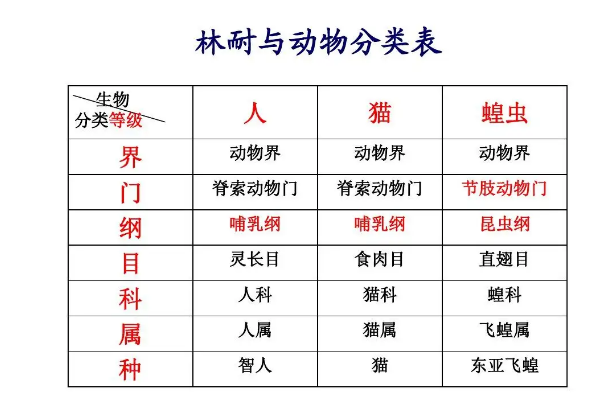 界门纲目科属种
