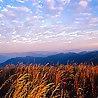 　邙山晚眺