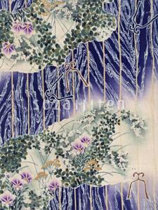 水草花 搜狗百科 水草花 搜狗百科