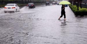 è±ªé›¨ æœç‹—ç™¾ç§'