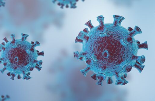 腺病毒 - 搜狗百科