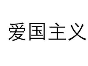 伪爱国主义图片